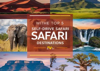 Top 5 Self-Drive Safari Destinations in Southern Africa