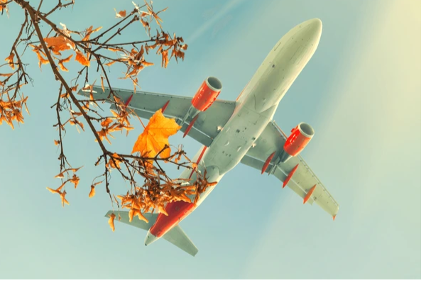 The Reasons to Look for Cheap Flights in Autumn Right Now